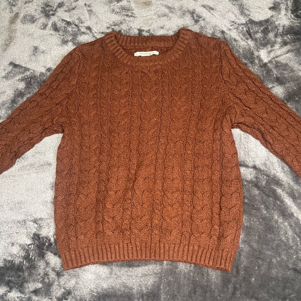 Brown American Eagle sweater.